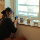 곡성-055 이미지