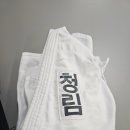 청림유도관