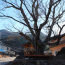 치목경로당 이미지