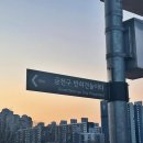 안양천 다목적광장 이미지