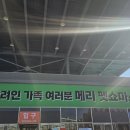 똘이펫 | 2024년 크리스마스 서울펫쇼 학여울역 세택 방문 후기