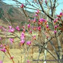 부신농장 이미지