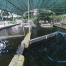 참샘골가든횟집 이미지