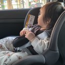 브라이텍스 듀얼픽스 플러스 아이사이즈 후기 사용법 신생아 카시트 추천