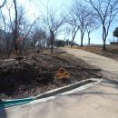 인천심곡초등학교 이미지