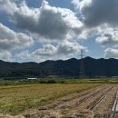 어성장어센타 이미지