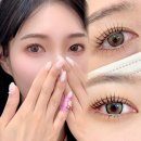 몽레쓸 | 대흥동 속눈썹 펌 유지력 미친 #몽레쓸 리뷰 (feat. #속눈썹 영양제 찐 후기)
