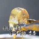 동명태
