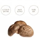 시영농장 이미지