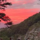 숲의하루 이미지