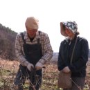 괴짜농부