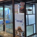 젠틀펫 | 대구 서구 애견카페,애견유치원 – 사람도 강아지도 편안한 공간, 젠틀펫