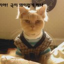 신기