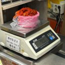 황부자 | 속초 중앙시장 젓갈 맛집 황부자젓갈 솔직후기