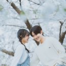 스튜디오설렘 이미지