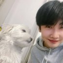 Happy Birthday Hoyoung 🎂 💗 이미지