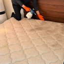 월평새뜸로 | 대전 매트리스 청소업체 글림케어 대만족 후기