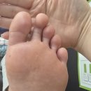 손톱관리소 네이버블로그
