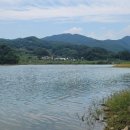 티엠사이트 네이버블로그