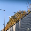 스테이인터뷰파도리 | 충남 파도리 여행 후기(숙소 스테이인터뷰)-1