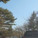 석굴암 화장실 | 겨울 경주 가족여행 불국사 석굴암 가는길 주차장 소요시간