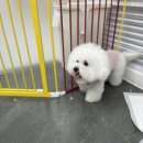 우프루프 이미지