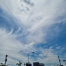 강이랑아지랑 이미지