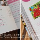 베스트플랜트래블