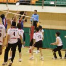 선기로2-11 Daum카페