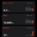 수치 선착장 이미지