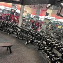 골드휘트니스 이미지