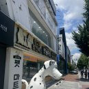 와우펫마트 | [내돈내산 솔직후기] 창원 상남동 용호동 강아지 애완견 간식 펫마트 중앙점(메뉴,가격)