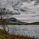 평택시노인전문요양원 이미지