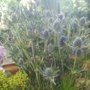 대동화원 이미지