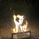 ER-700[대구외곽순환고속도로]-하-10 | 47번째 캠핑) 밀양 가보자 캠핑장(사이트 B6)_‘가보자’만 다섯 번째 방문기