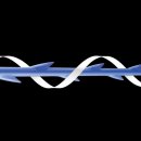 베이드의원 이미지