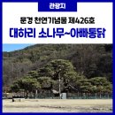 점촌통닭