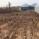 파주시산림조합 이미지