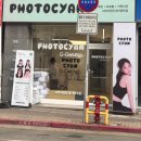 다샘헤어 네이버블로그