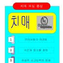 Re: Re: 11회 ITQ 시험문제(11월 11일 시행)-복지관에서 내가 해 본것 이미지