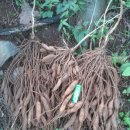 229-2-000089 이미지