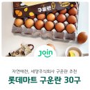 주식회사 세양 네이버블로그