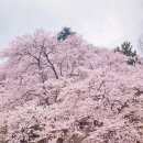 남산공원(정자아래) 이미지