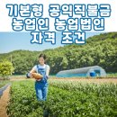 기본형 공익직불금 농업인 농업법인 자격조건[공익직불제, 농업직불금, 승계자 등]