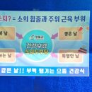 영월콩집
