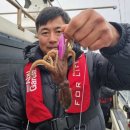 뉴해양호 | 충남 선상낚시 전문 홍원항 뉴해양호 봄알쭈꾸미낚시 기대감 상승중!