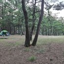 옥계경계지역 이미지