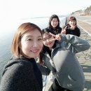 토마토피아 네이버블로그