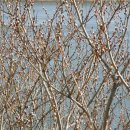 씨너스 주식회사 이미지