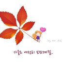 귤팡